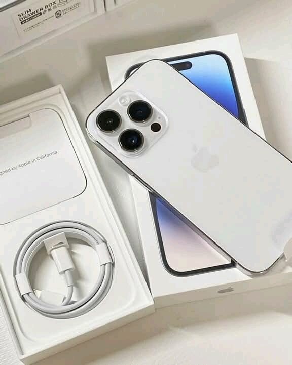 iPhone 14 Pro Argent 256 Go