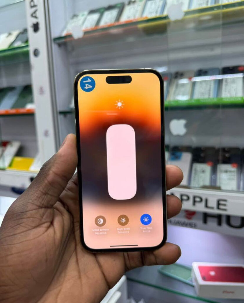 iPhone Pro Max 256Go