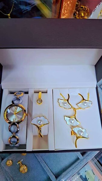 Set montre et bijoux élégant