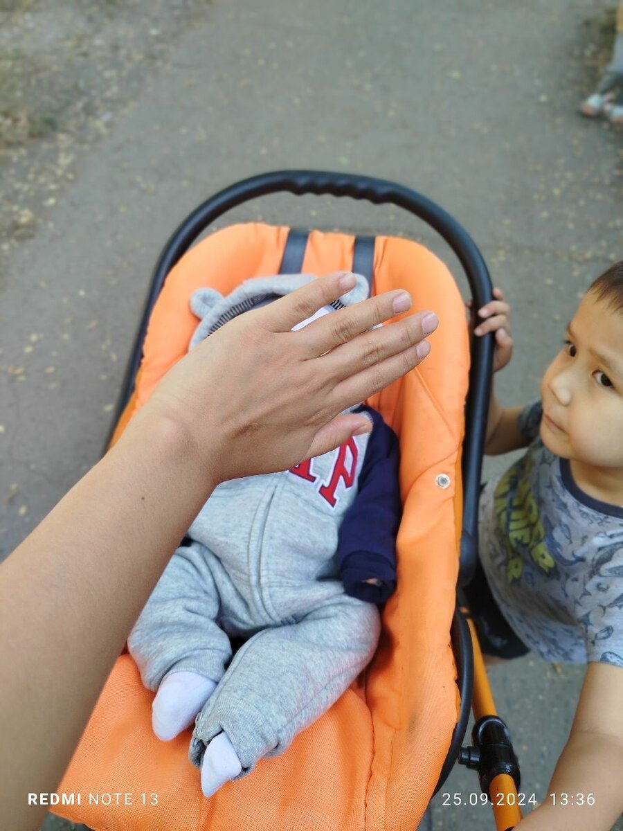 Коляска Польский 3в1