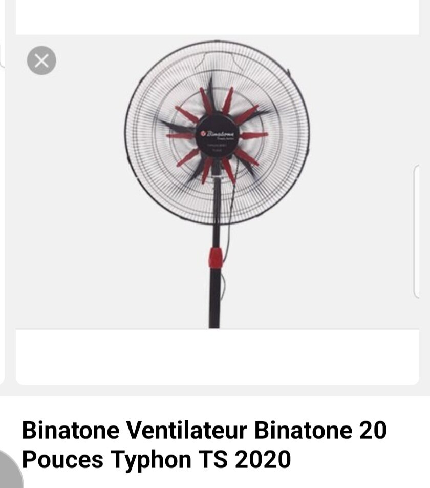 Ventilateur sur pied puissant