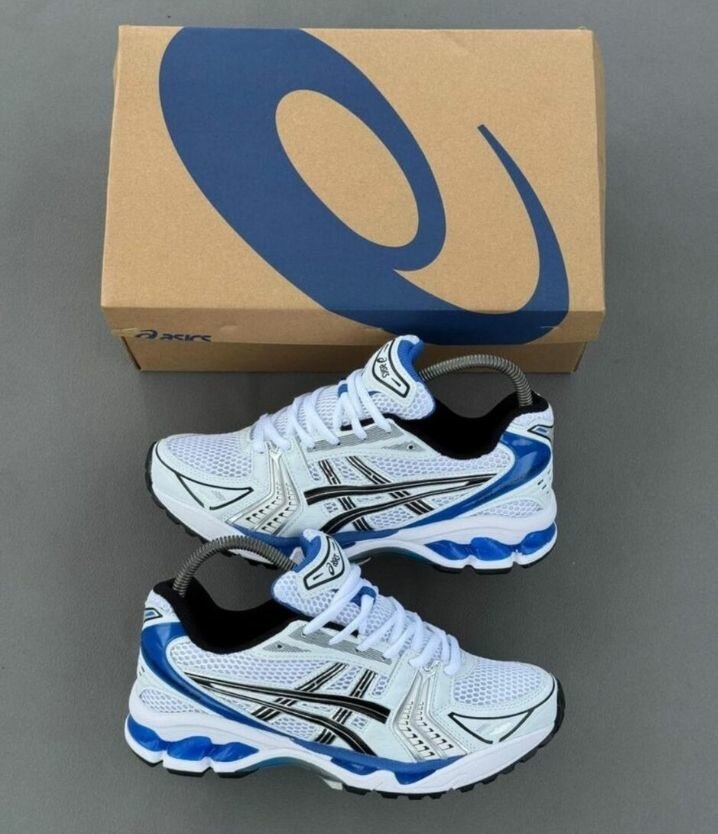 Chaussures de Course Asics