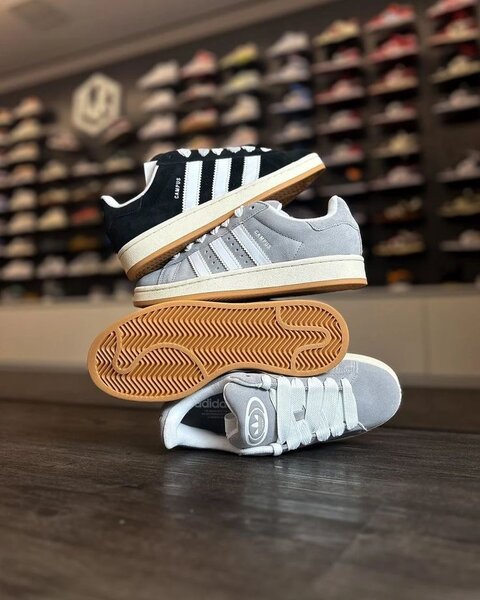 Adidas campus original