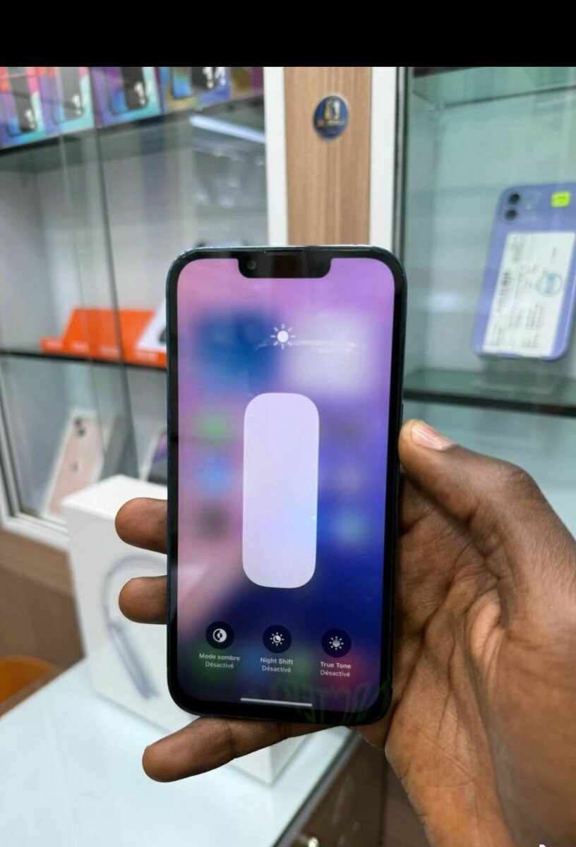 iPhone 13 Pro Max 256Go Bleu