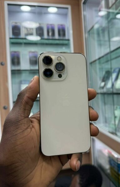 iPhone 13 Pro Max 256 Go