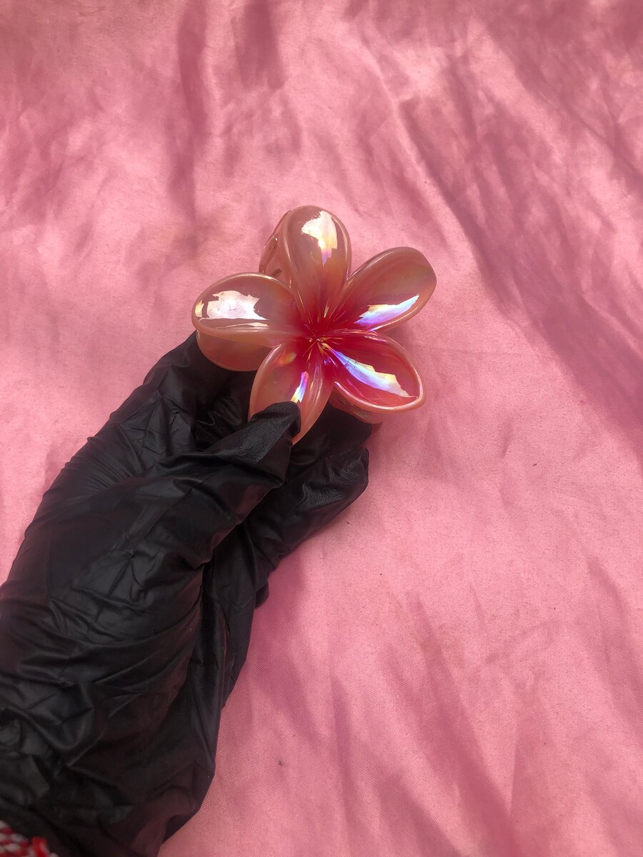 Barrette + ÉLASTIQUES OFFERT