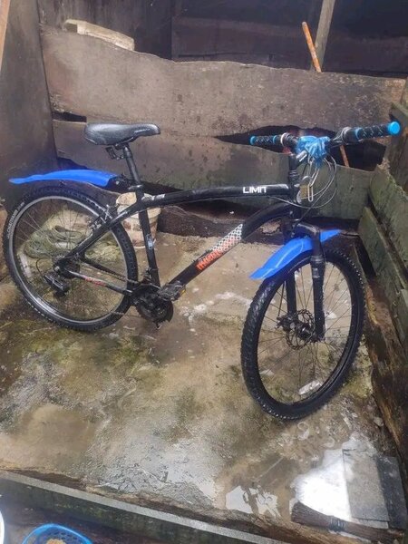 Vélo tout-terrain robuste