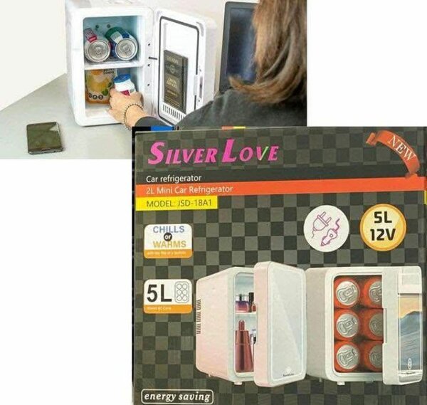 Mini réfrigérateur 5L pour voiture - SILVER LOVE