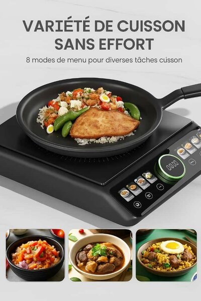 Plaque à induction FlexiCooker 2200W