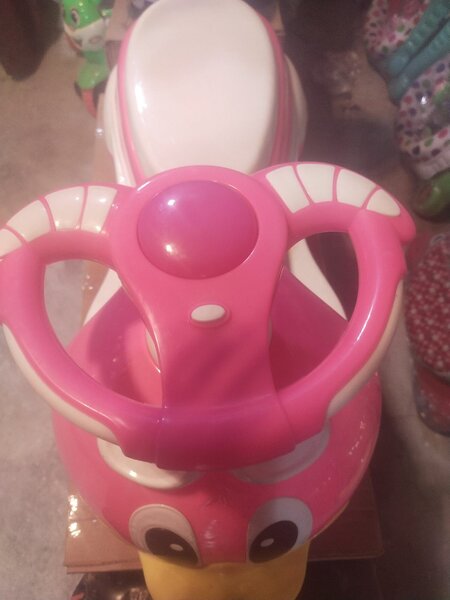 Dolphin Car