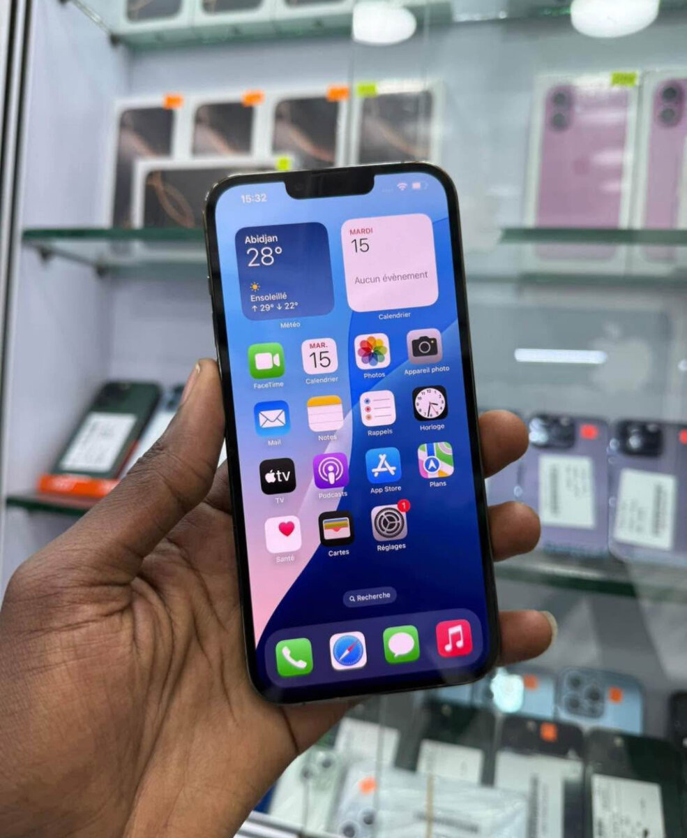 iPhone 13 Pro Max 256GB Vert