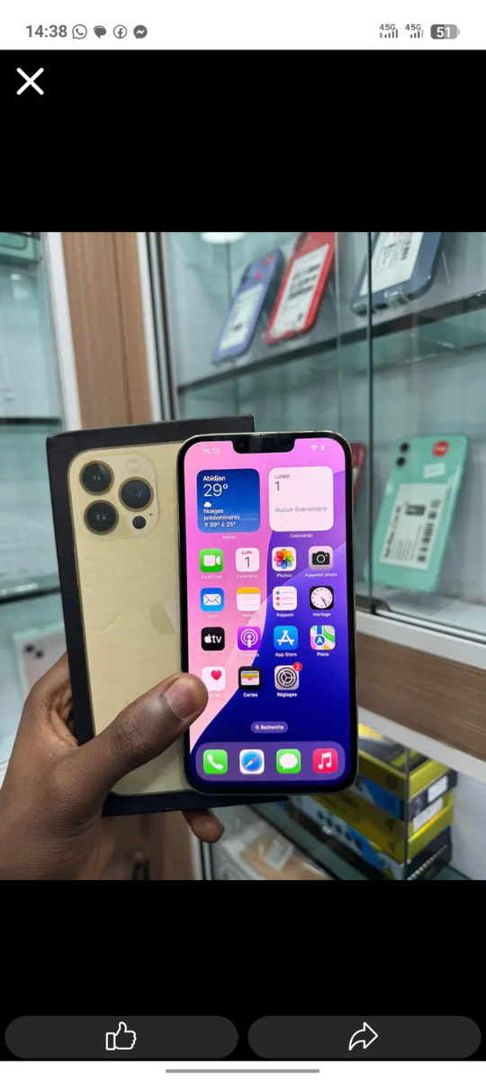 iPhone 13 Pro Max - 256 Go