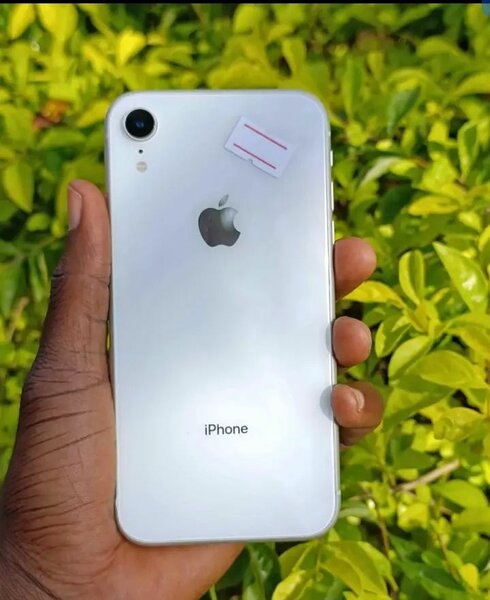 iPhone XR Blanc 64GB