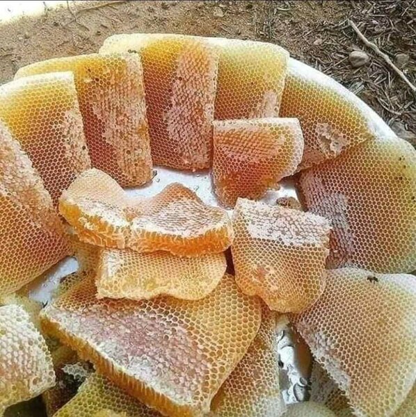 Pure KPK Honey خالص دیسی شہد