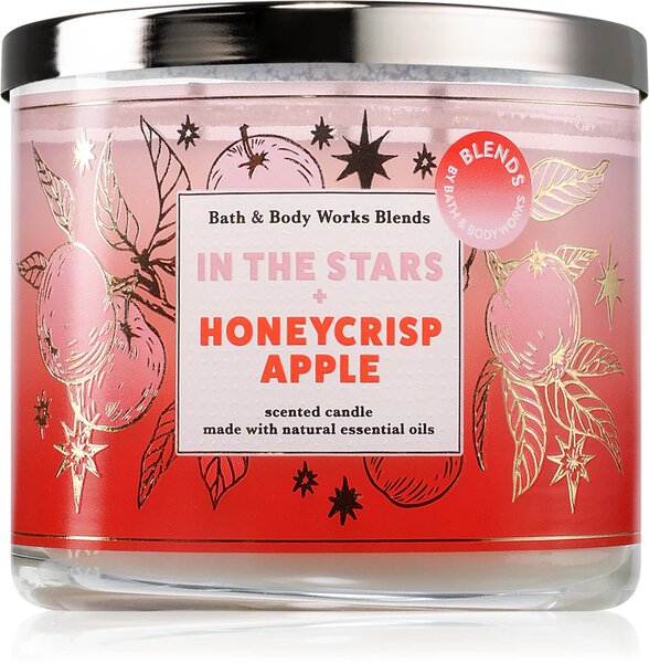 Bath & Body Works 3-wick scented candle