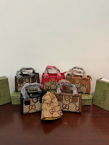 Ladies bag