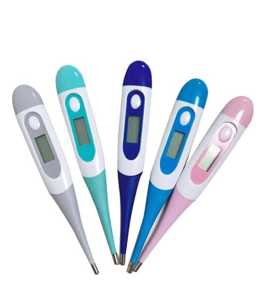 Thermomètre Digital Précis