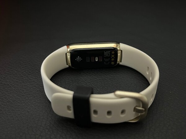 Google Fitbit luxe