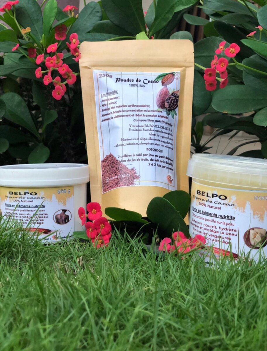 Poudre de Cacao Bio 100%