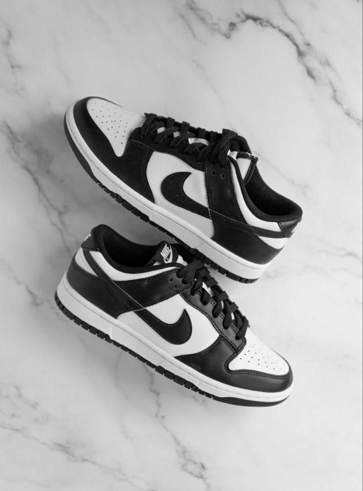 Chaussure nike SB