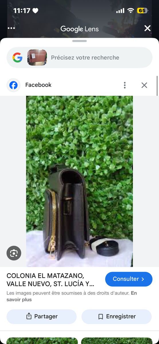 Sac Bandoulière Élégant Femme