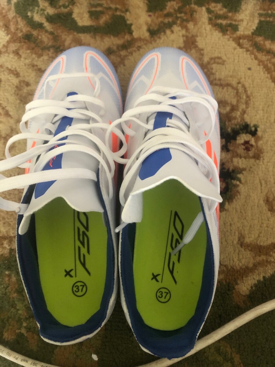 F50 сороконошки