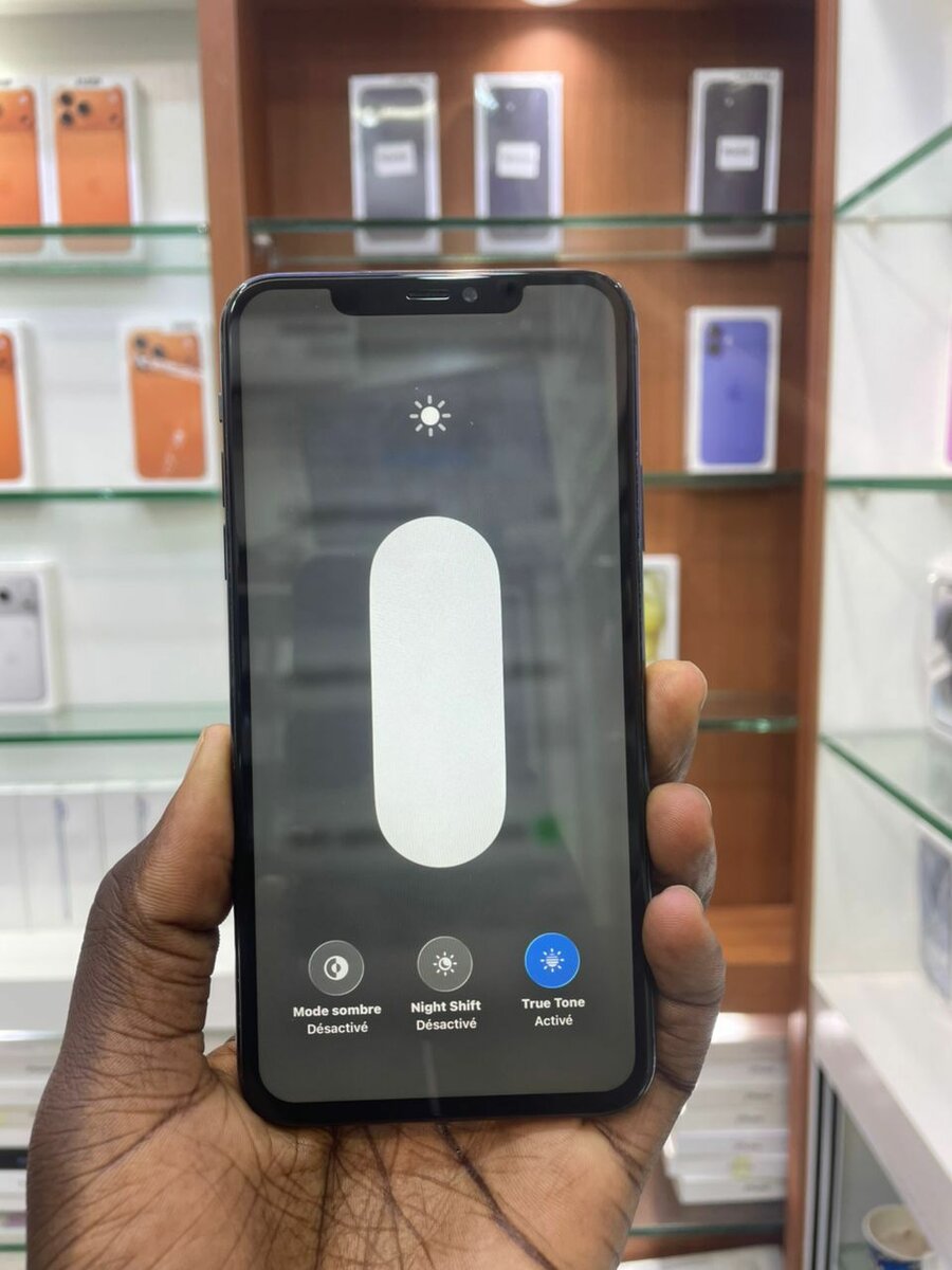 iPhone 11 Pro Max 256 Go