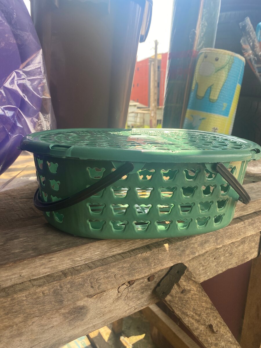 Green Plastic Basket