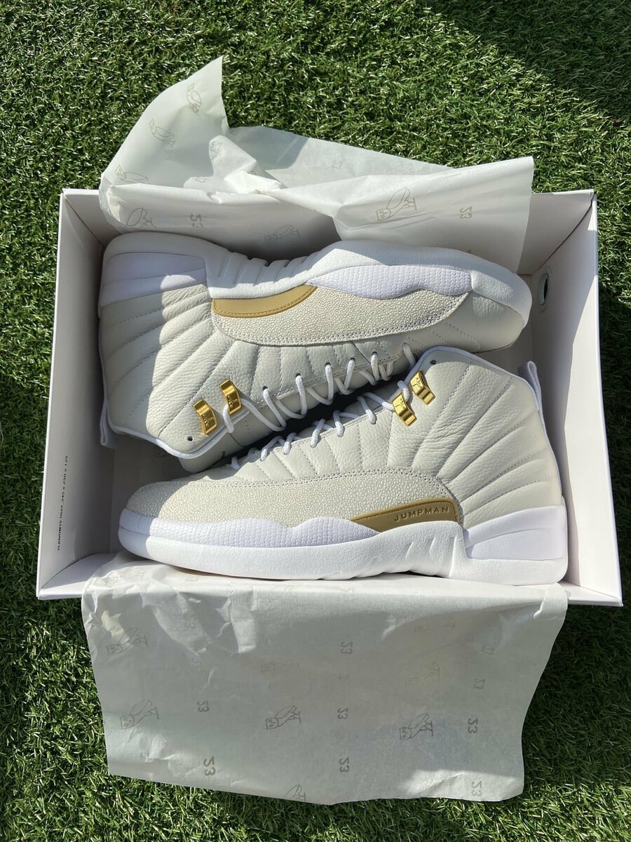 Air Jordan 12