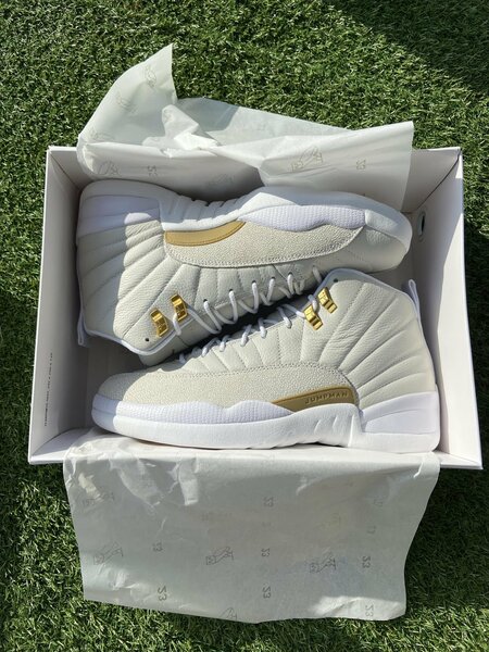 Air Jordan 12