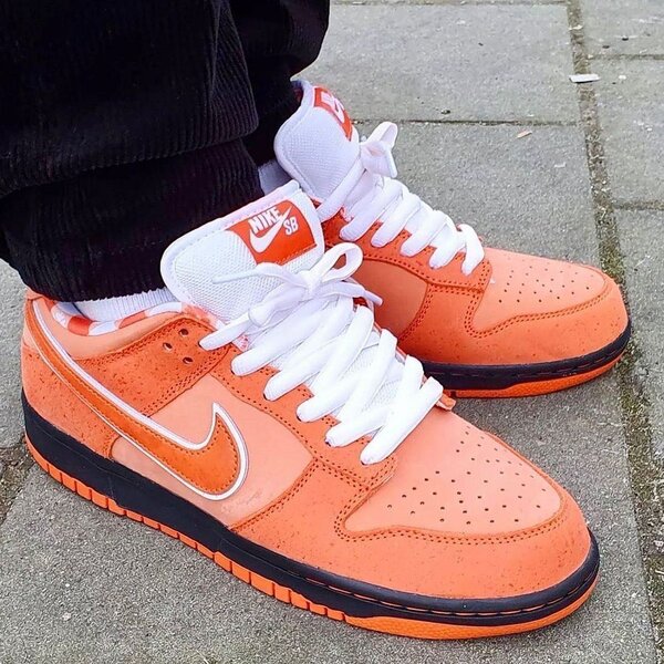 Chaussures Nike SB