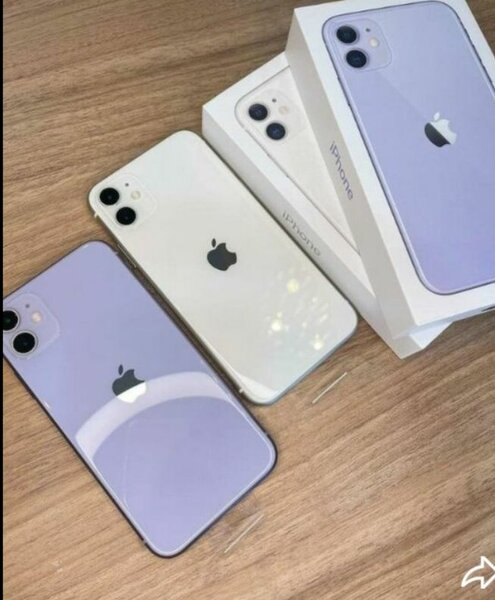 iPhone 12 Violet et Blanc