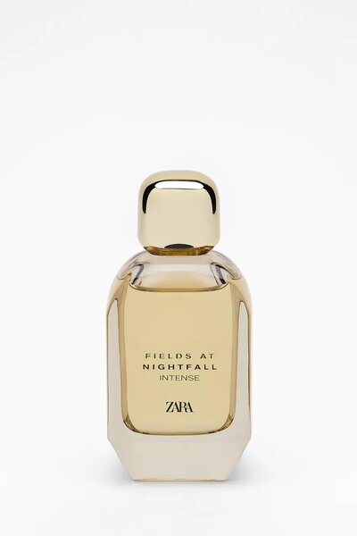 Zara Fields at nightfall