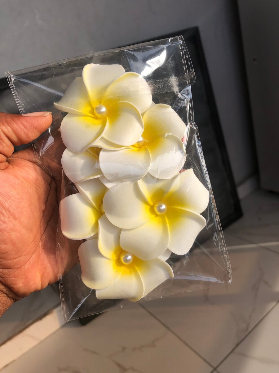 Fleurs de Plumeria Décoratives