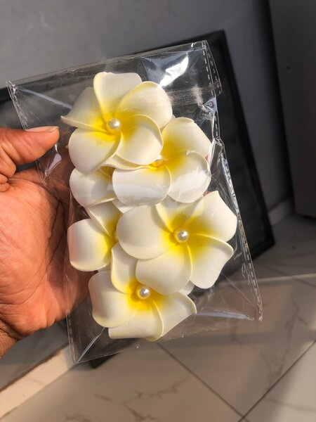 Fleurs de Plumeria Décoratives