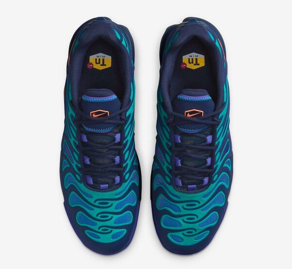 Nike Air Max Plus Bleu