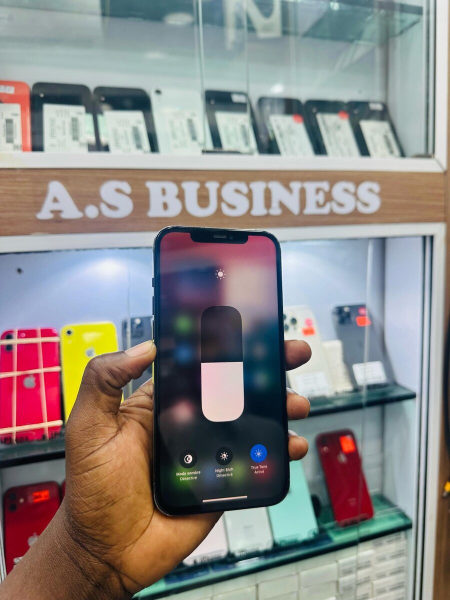 12 pro max 128giga sans ID