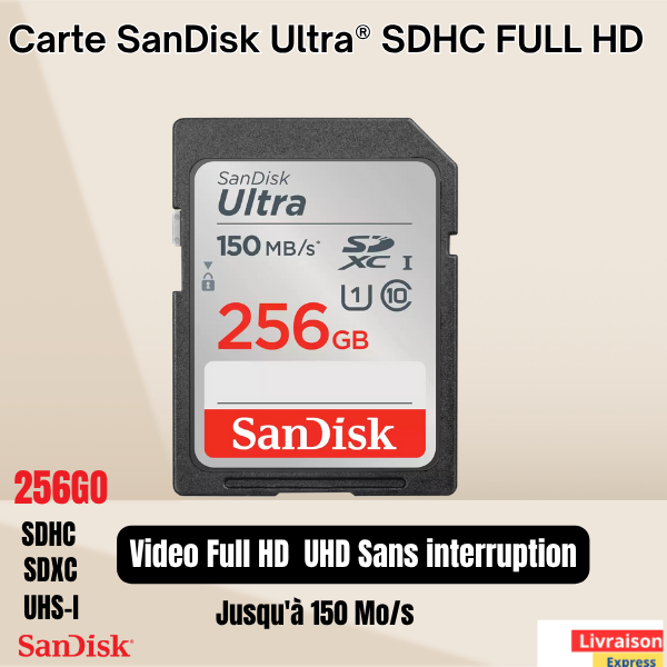 Carte SD SanDisk 256 Go