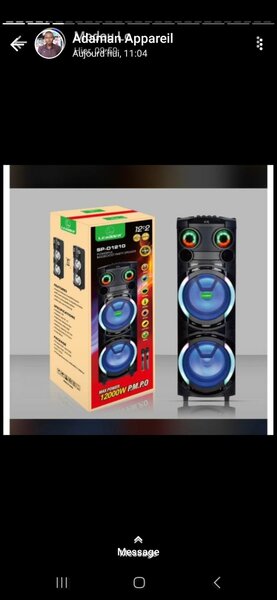 Leader baladeur amplifier