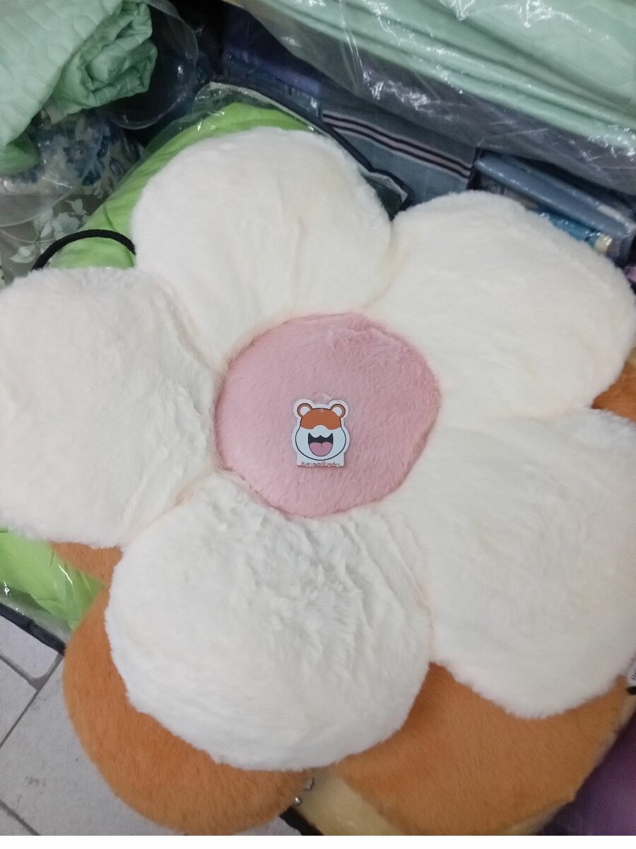 2Coussins moelleux décorative