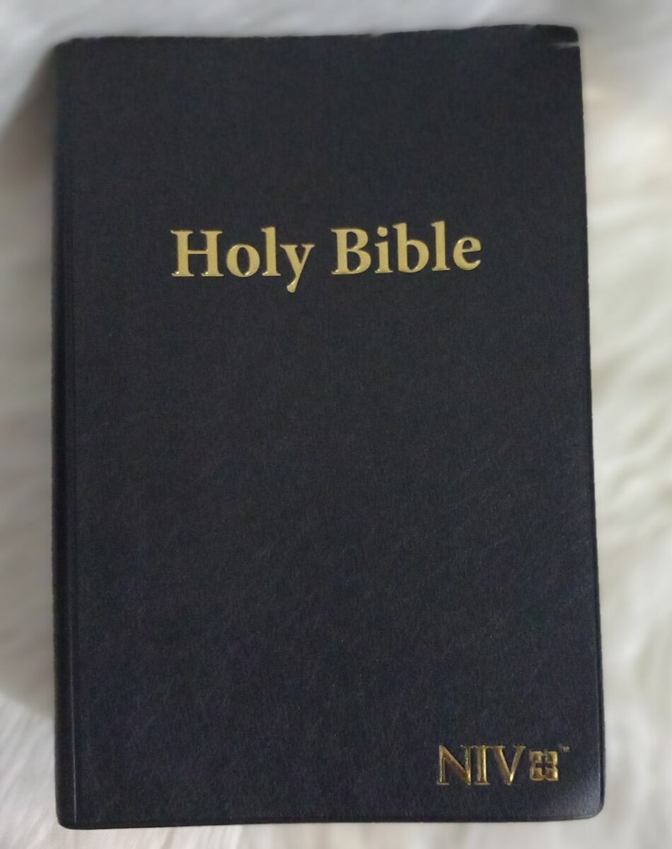 HOLY BIBLE (NIV) GAINT PRINT