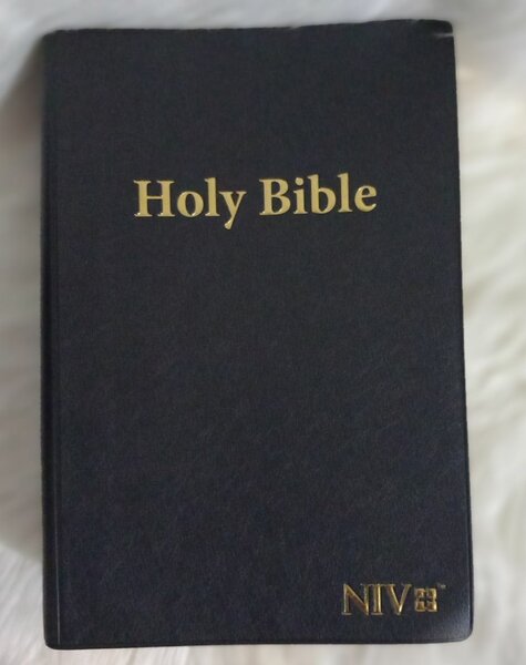 HOLY BIBLE (NIV) GAINT PRINT