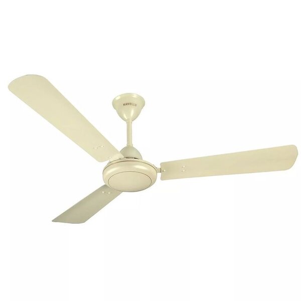 Ceiling fan