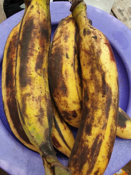 Nourriture africaine