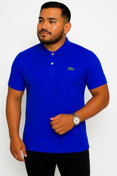 Polo élégant pour homme