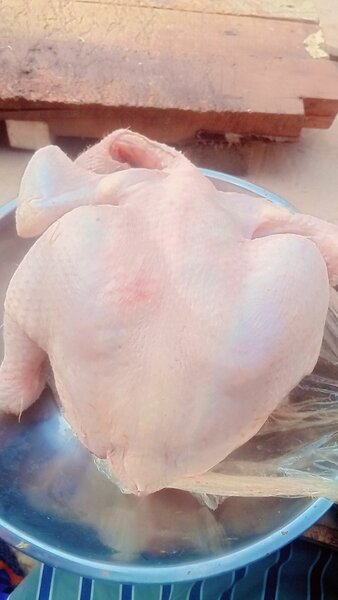 Poulet entier frais