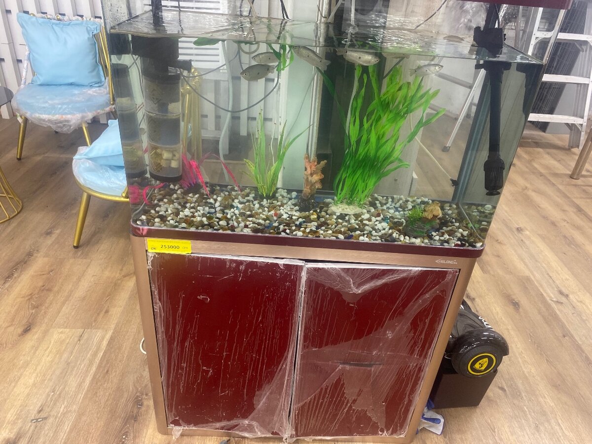 Aquarium avec meuble élégant