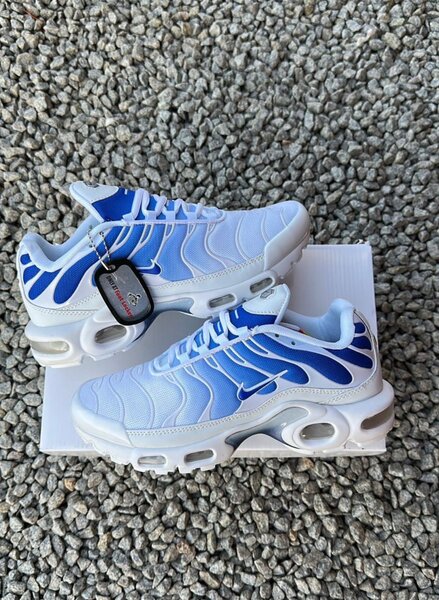Baskets Air Max TN Blanc Bleu