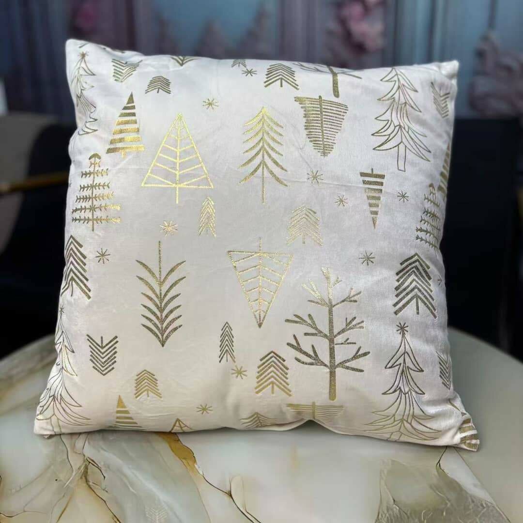 Coussin décoratif chic et élégant