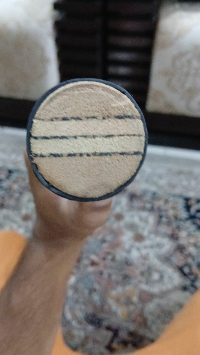 english willow hard ball professional cricket bat